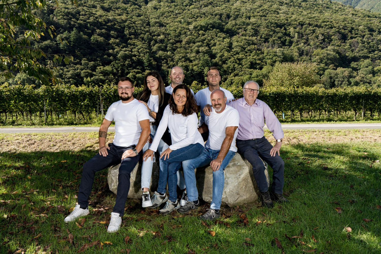 Il Cavaliere, Ticino