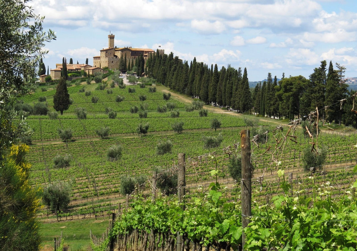 Castello Banfi