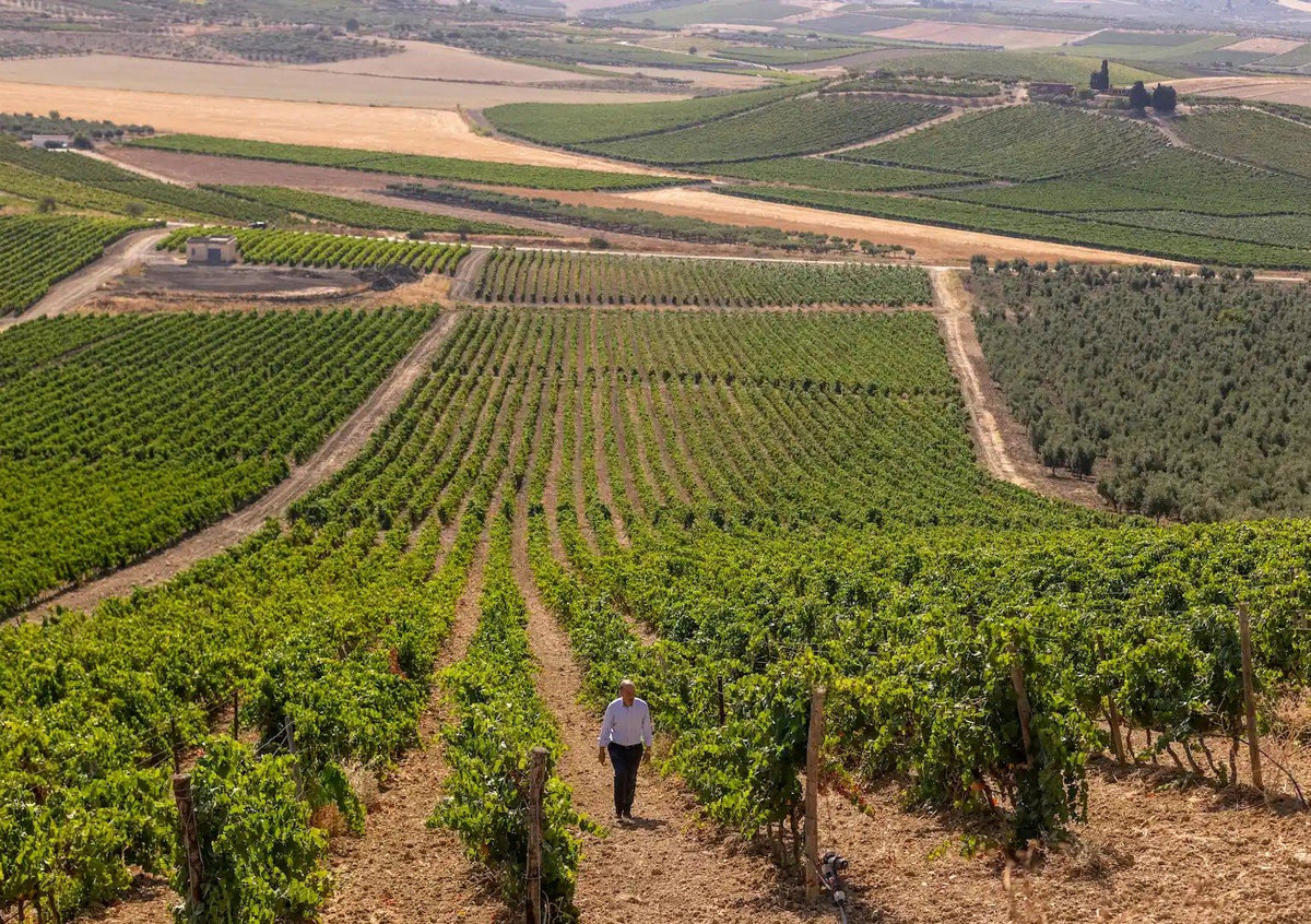 Donnafugata