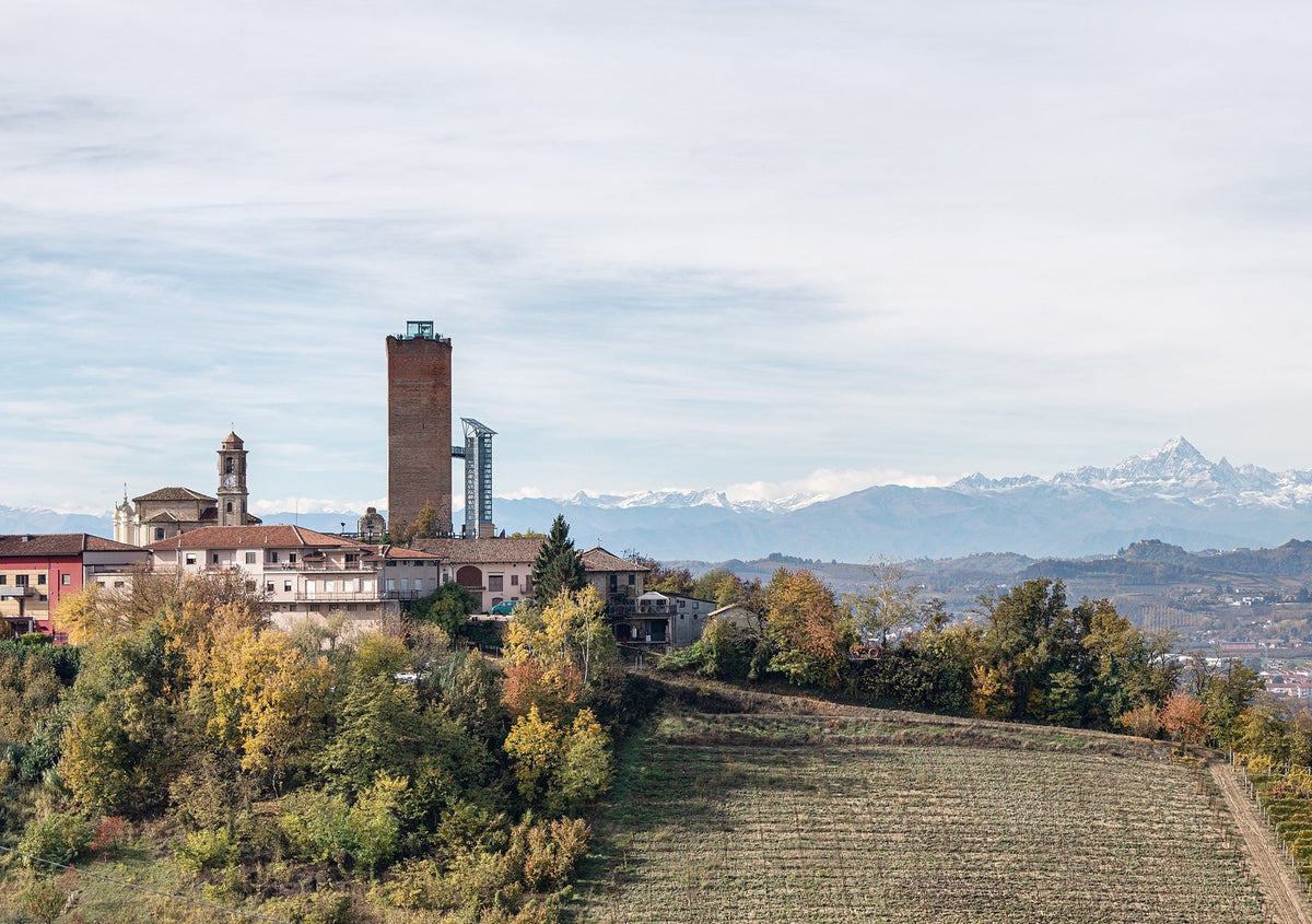 Gaja