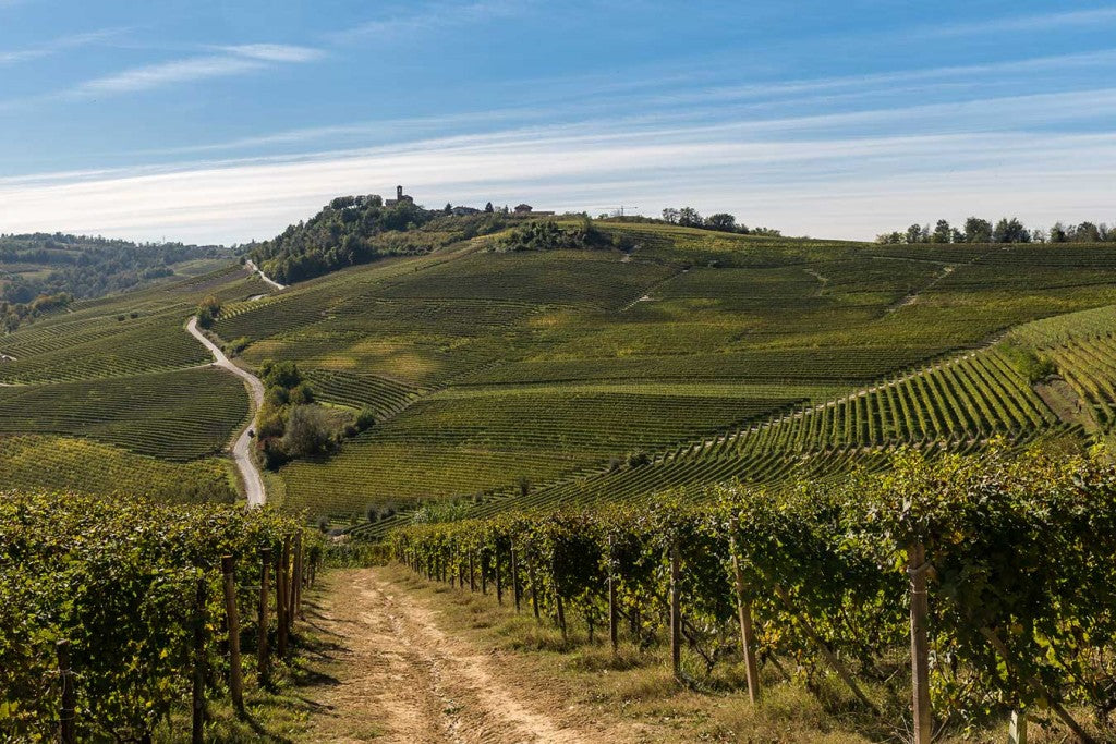 Diego Morra, Piemonte