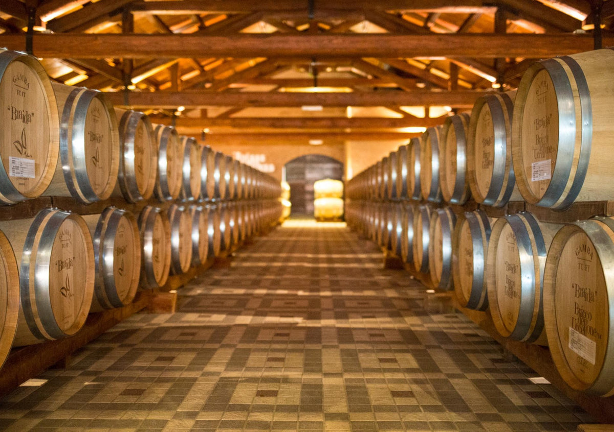 Cantina con botti di rovere